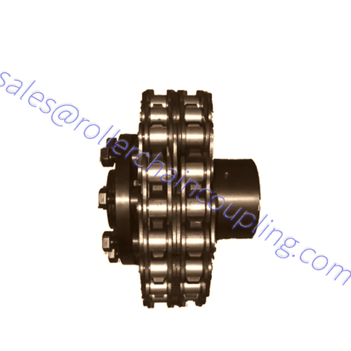 roller chain coupling(4)